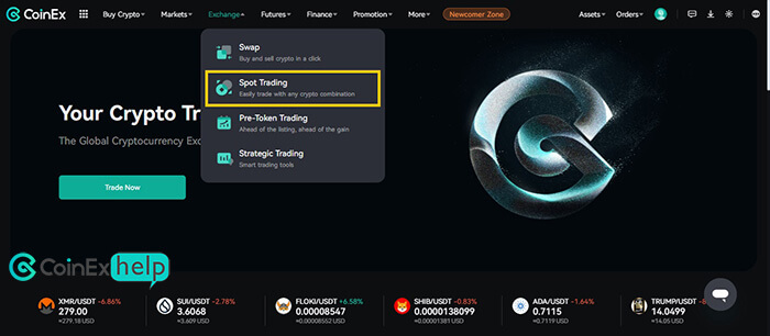 گزینه Spot Trading