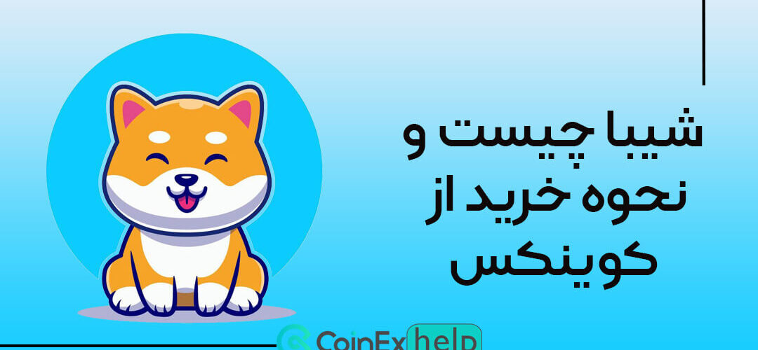 شیبا چیست و نحوه خرید از کوینکس