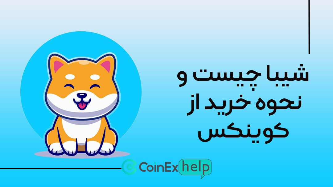 شیبا چیست و نحوه خرید از کوینکس
