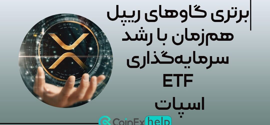 برتری گاوهای ریپل هم‌زمان با رشد سرمایه‌گذاری ETFهای اسپات