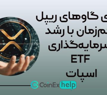 برتری گاوهای ریپل هم‌زمان با رشد سرمایه‌گذاری ETFهای اسپات