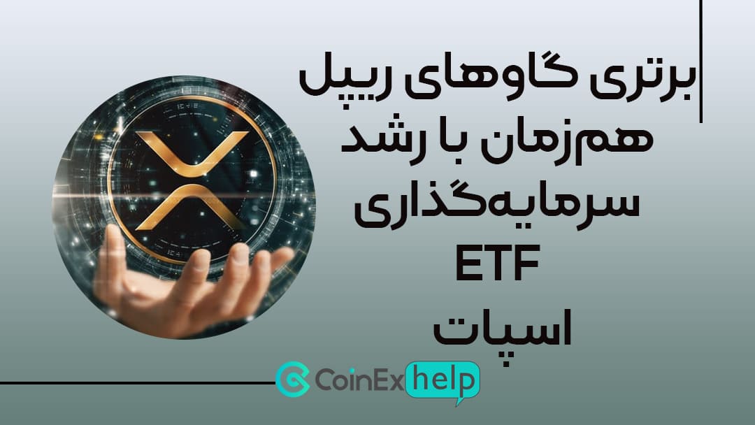 برتری گاوهای ریپل همزمان با رشد سرمایهگذاری ETFهای اسپات