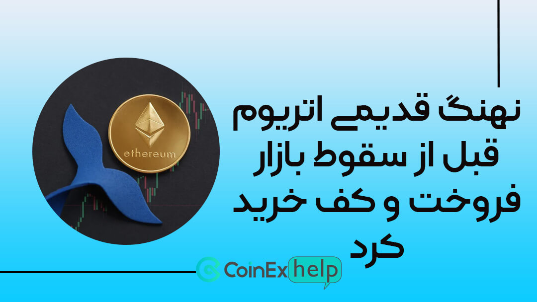 نهنگ قدیمی اتریوم قبل از سقوط بازار فروخت و کف خرید کرد